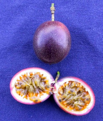 Passion fruit and cut fruit.psd.jpg