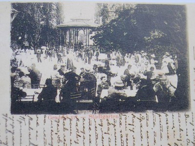 10gradski_vrt_800.jpg