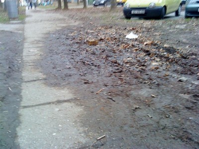 DSC01051 (Medium).jpg