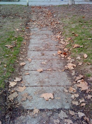 DSC01055 (Medium).jpg