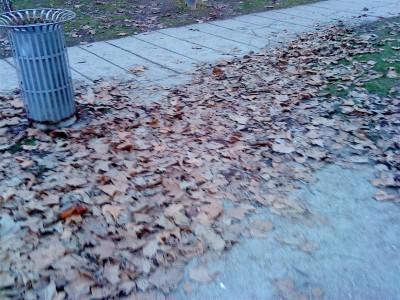 DSC01069 (Medium).jpg